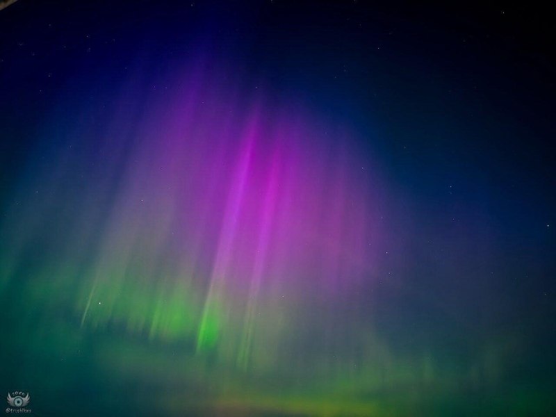 Иллюстрация 5