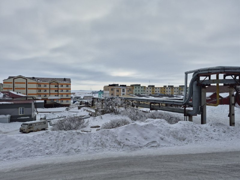 Записки кинокритика из Чукотки: впечатления от фестиваля «Золотой ворон»