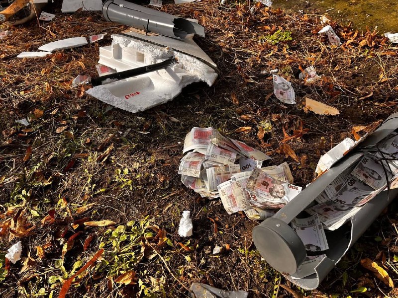 Иллюстрация 4