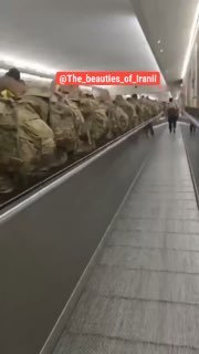 Иллюстрация 8