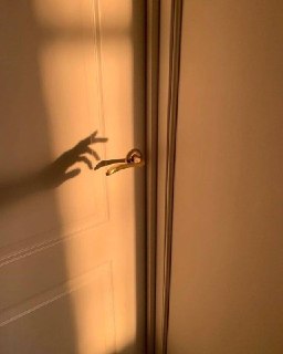 Цитата дня: о счастье и двери