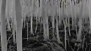 Бои на Харьковском направлении: ВС РФ продвигаются вперёд, уничтожена артиллерия и РЭБ противника