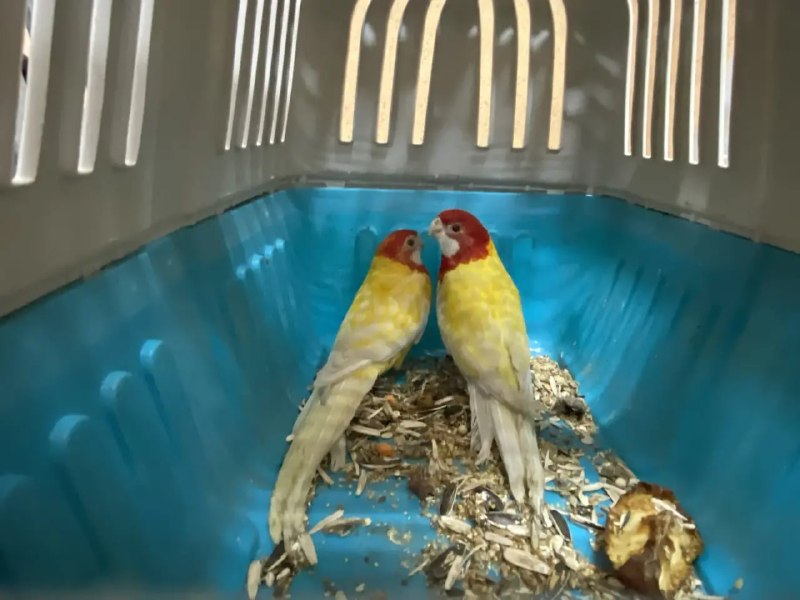 Иллюстрация 4