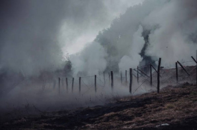 Философия войны и памяти: цитата Ремарка