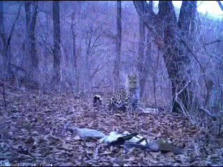 Иллюстрация 2