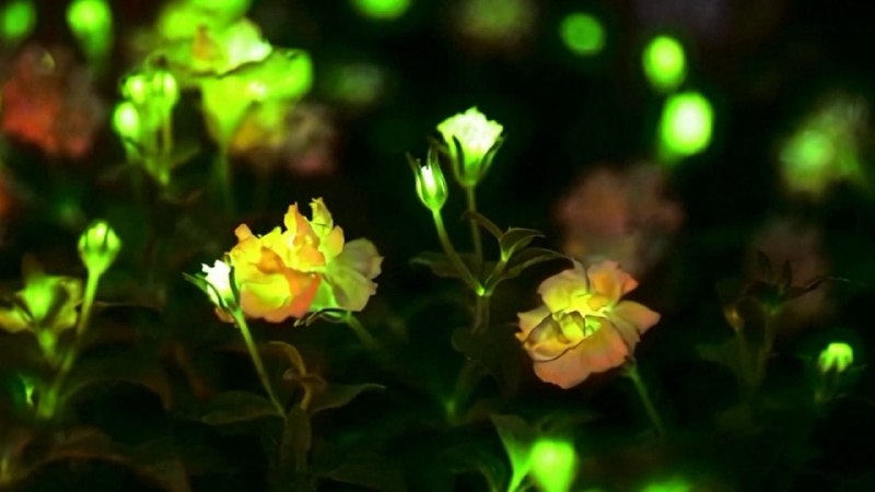 Иллюстрация 2