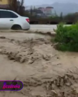 Иллюстрация 2