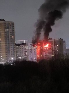 Иллюстрация 5