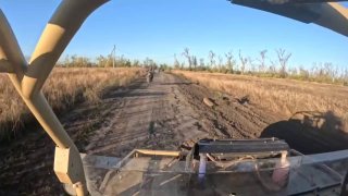 Иллюстрация 1