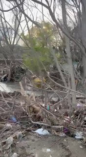 Иллюстрация 1