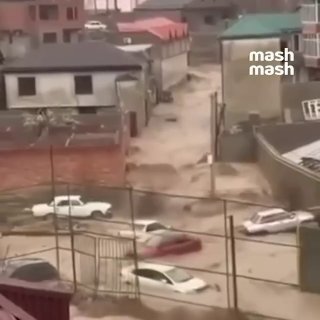 Иллюстрация 5