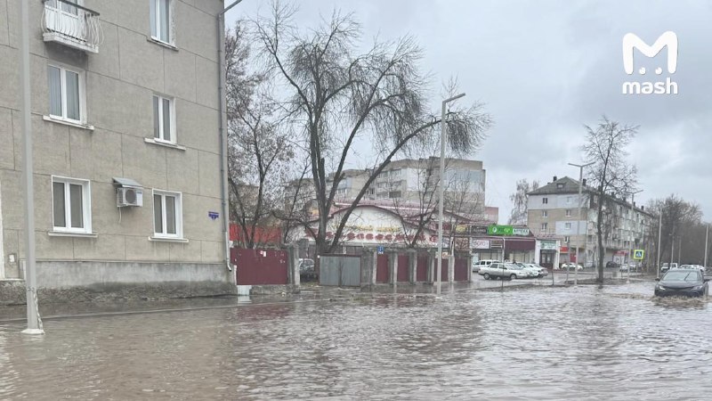 Массовая вспышка кишечной инфекции в Муроме: более 50 человек госпитализированы