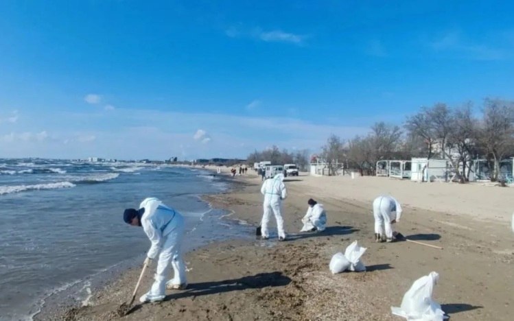 Иллюстрация 1