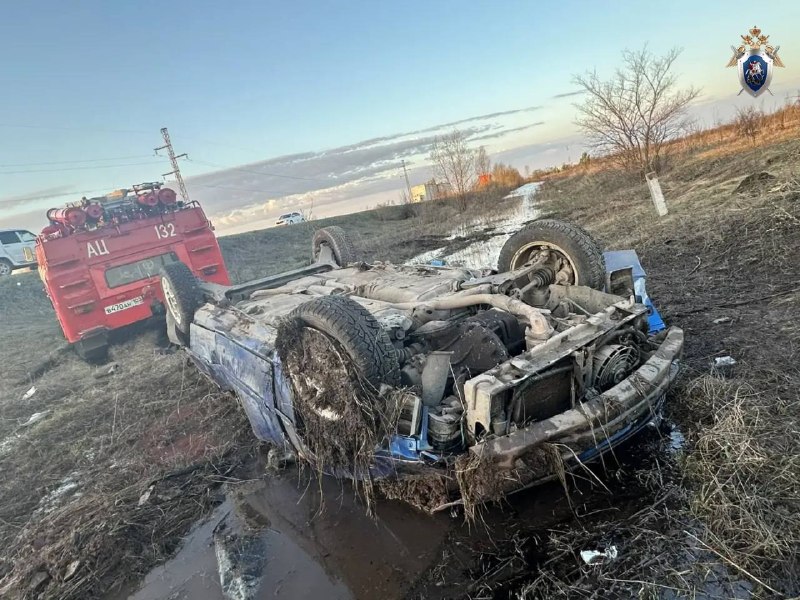 Иллюстрация 2