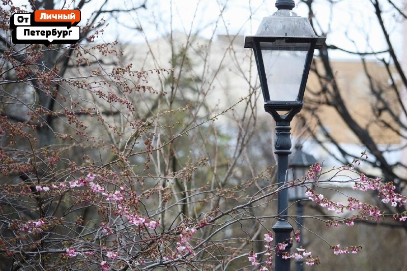 Иллюстрация 2