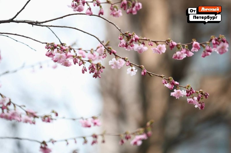 Иллюстрация 3