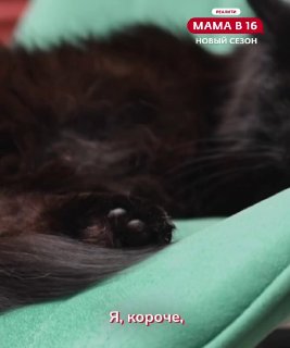 Иллюстрация 2