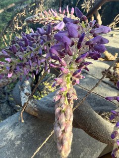 Иллюстрация 1