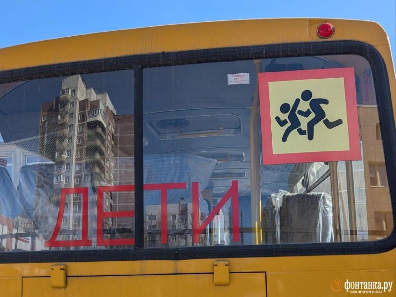 Школьные автобусы в Петербурге простаивают из-за нехватки водителей