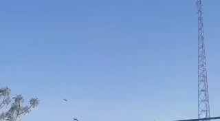 Иллюстрация 2