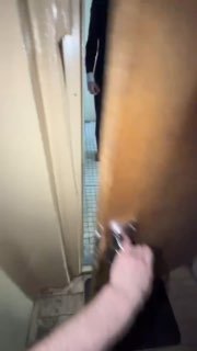 Вирусное видео с «мистером Андерсоном» в обычной пятиэтажке стало хитом в соцсетях