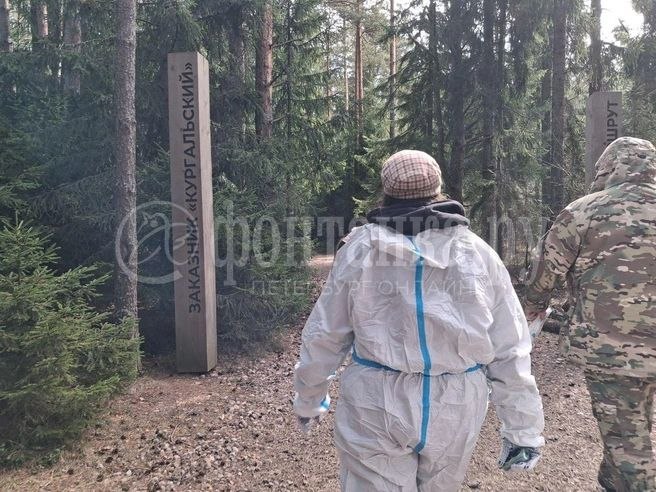 Иллюстрация 3