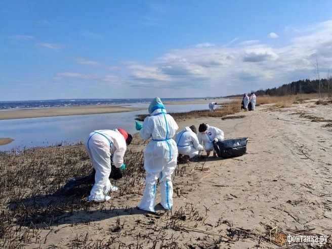 Иллюстрация 5