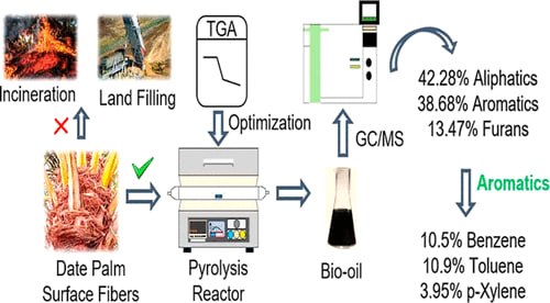 Ученые нашли способ превращать отходы финиковых пальм в биотопливо