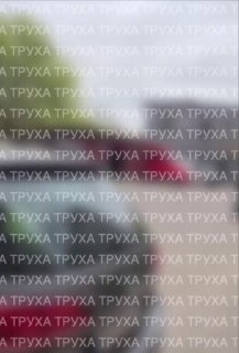 Иллюстрация 2