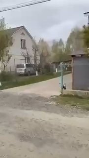 Иллюстрация 1