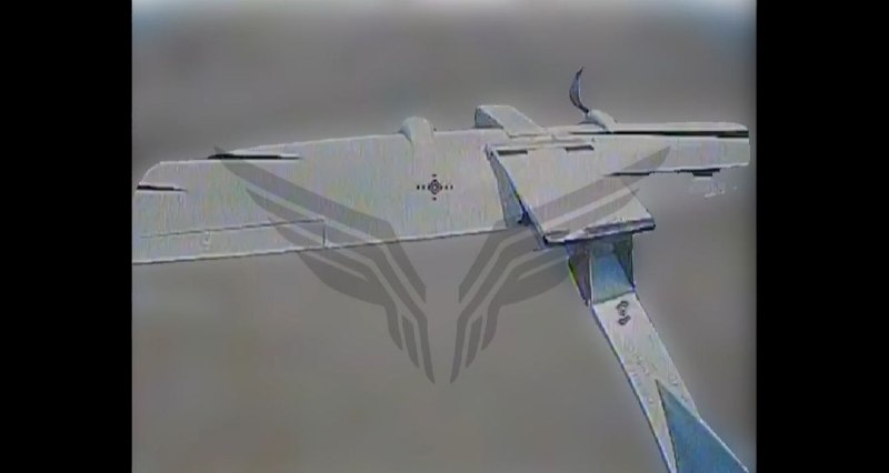 Иллюстрация 6