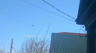 Иллюстрация 3