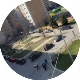 Иллюстрация 1