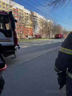 Иллюстрация 5