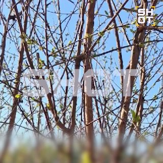 Иллюстрация 1