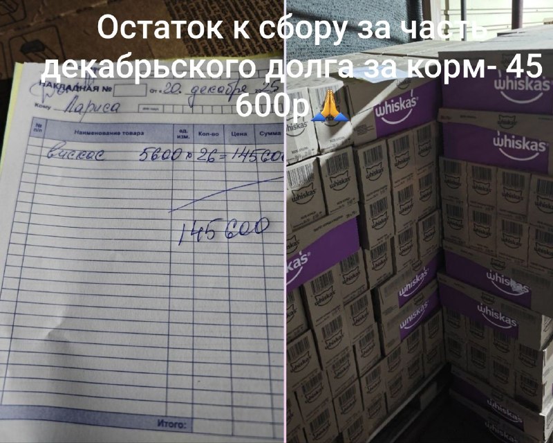 Иллюстрация 2