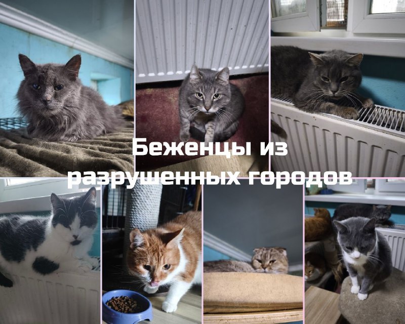 Иллюстрация 3