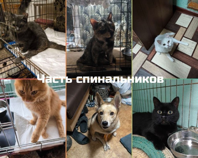 Иллюстрация 4