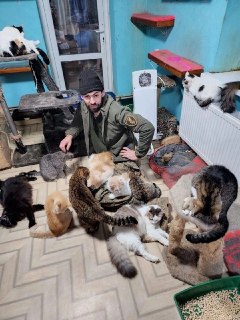 Иллюстрация 6