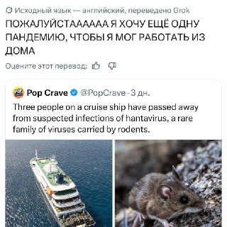 Зумеры не против ещё одной пандемии