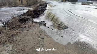 Иллюстрация 1