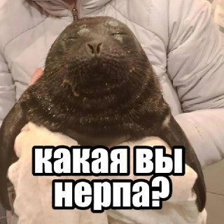 Иллюстрация 6