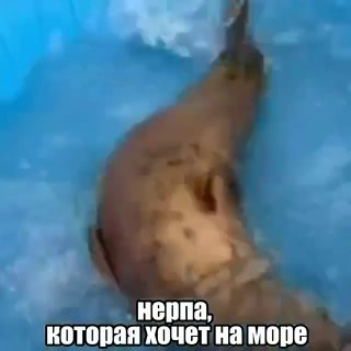 Иллюстрация 7