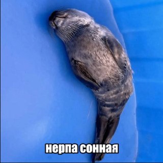 Иллюстрация 8