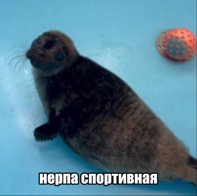 Иллюстрация 9