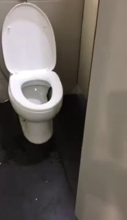 В аэропорту Сочи в туалете обнаружили змею