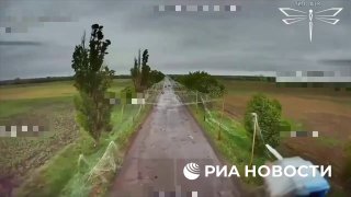 Иллюстрация 1
