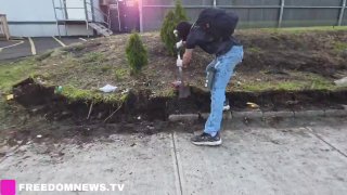 Иллюстрация 1