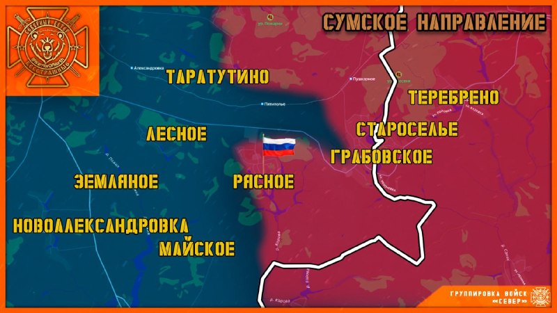 Военкор Александр Коц рассказал о важности освобождения Рясного и Запселья в Сумской области