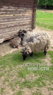 Иллюстрация 2